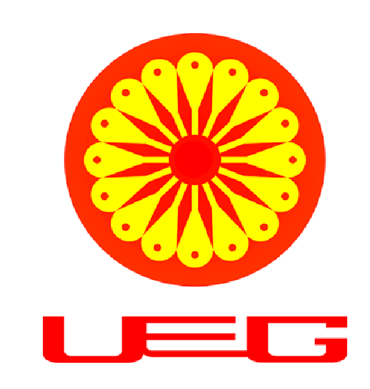 UEG (United Energy Group)